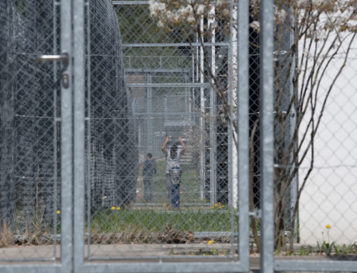 Dealing with Immigration Detention:
